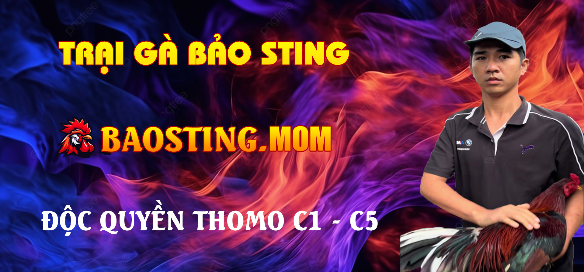 banner-baosting-mom